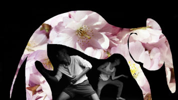 A collage of bodies dancing and a floral pink elephant